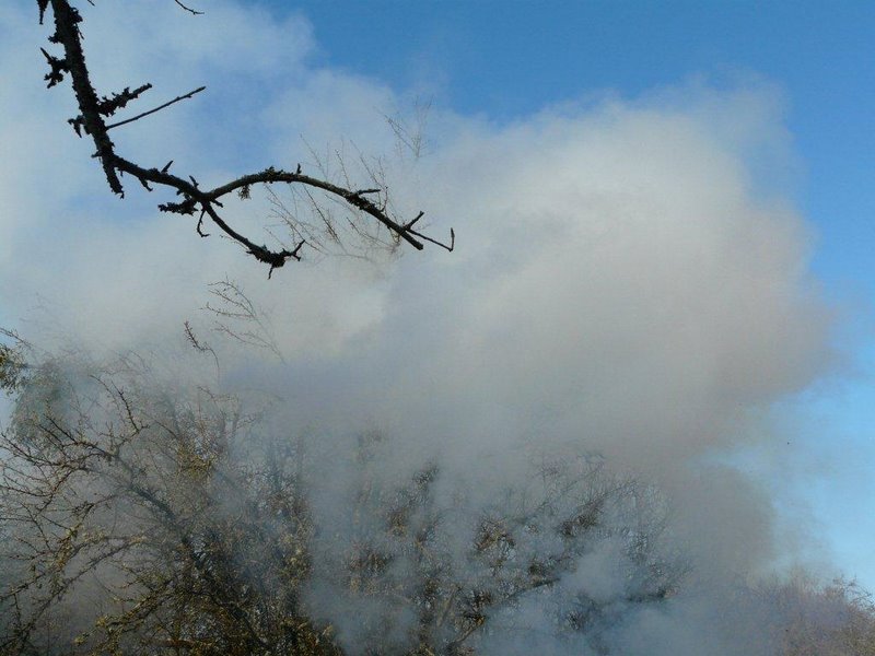 Février 2012 Atelier rencontre au PdH 10